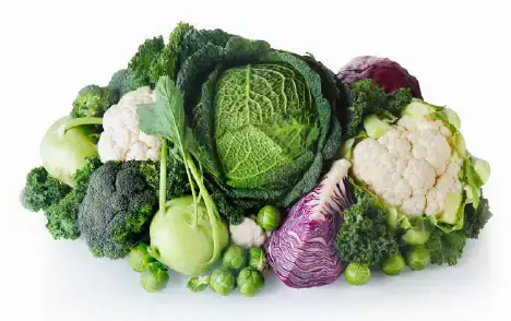sulforaphane vegetable sources